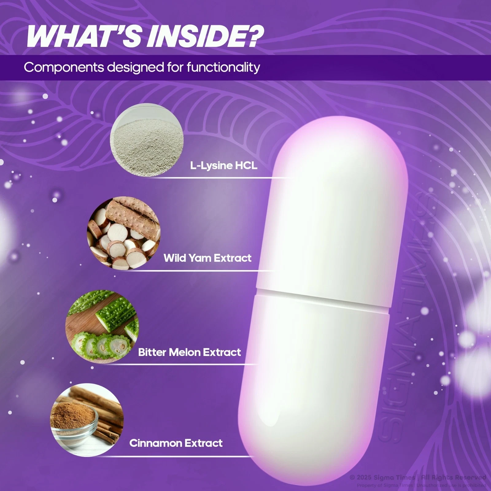 Memorion Pro  review no.2